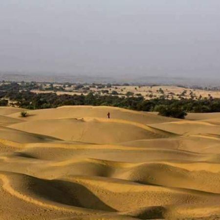 Sunny Desert Camp Kūri Zewnętrze zdjęcie