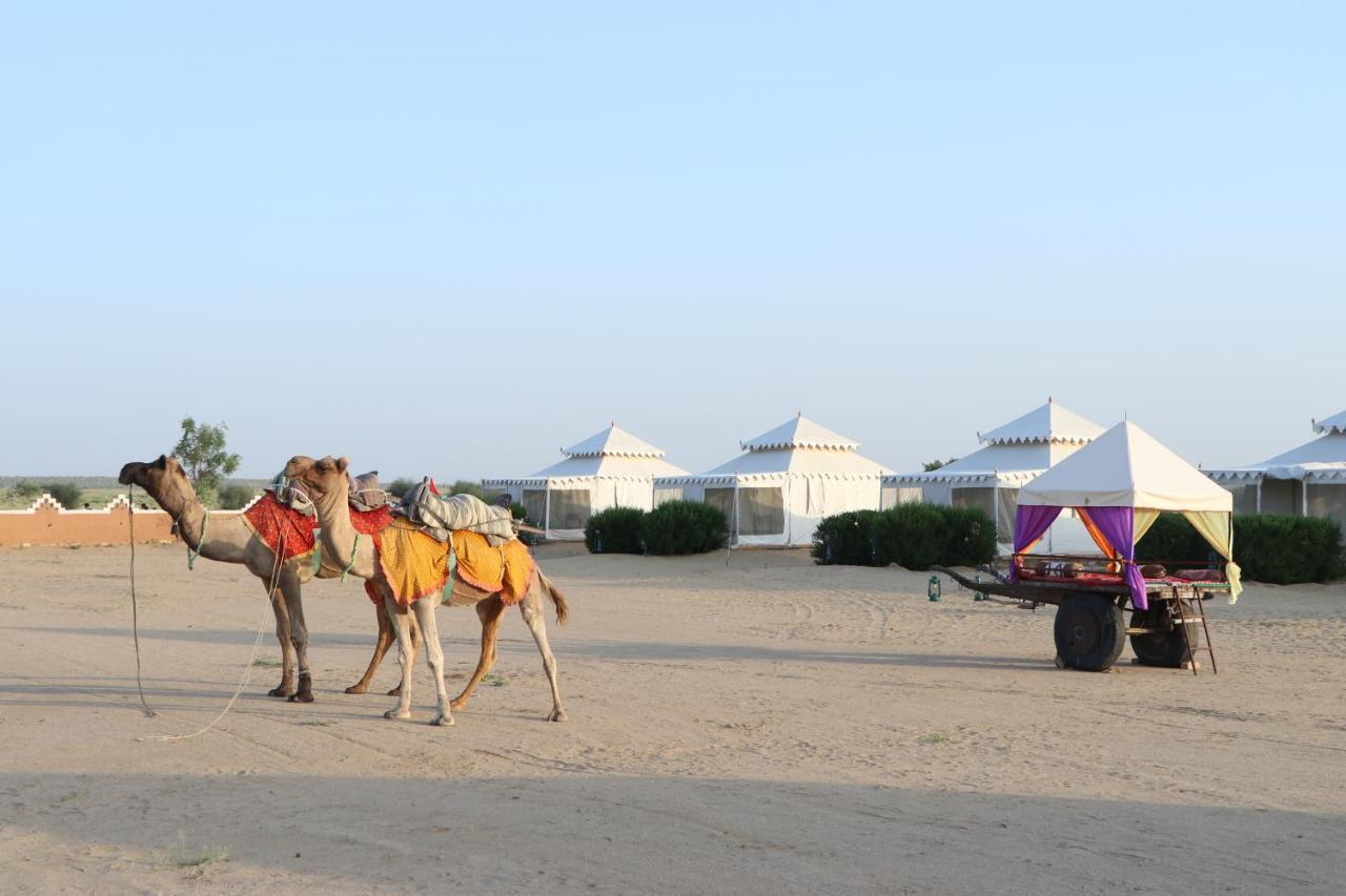 Sunny Desert Camp Kūri Zewnętrze zdjęcie