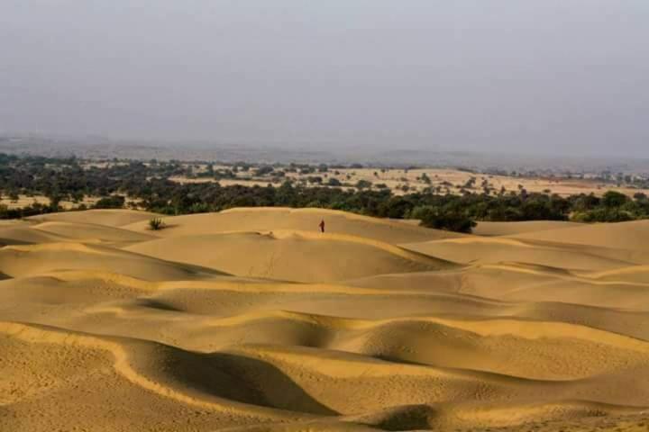 Sunny Desert Camp Kūri Zewnętrze zdjęcie