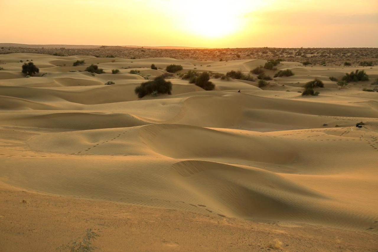 Sunny Desert Camp Kūri Zewnętrze zdjęcie